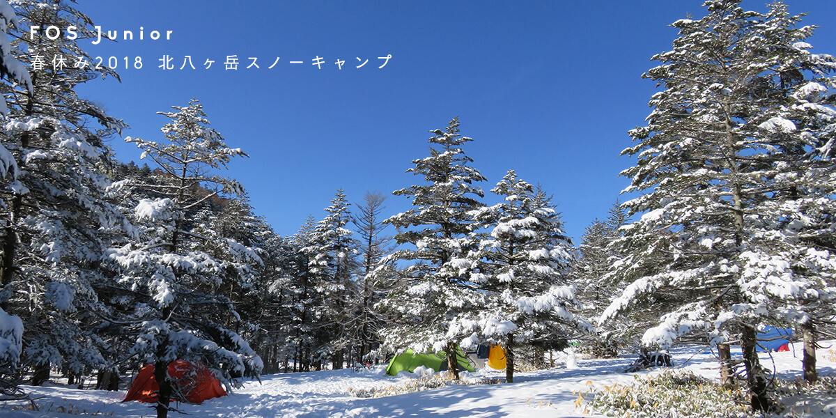 冬休み Winter Fuji Area