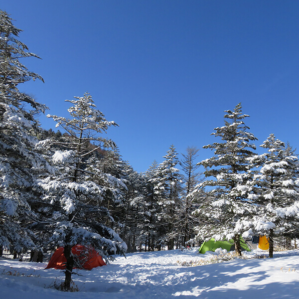 冬休み Winter Fuji Area